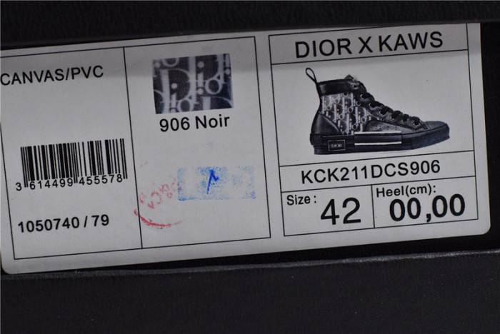 D10R B23 Homme Kaws High Top Sneaker